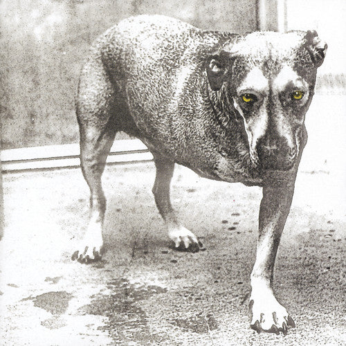 Alice In Chains | Alice in Chains CD