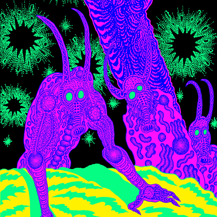 Osees | Abomination Revealed At Last LP