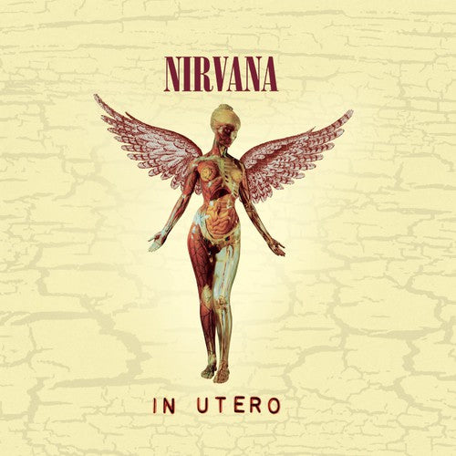 Nirvana | In Utero CD (20th Anniversary Edition)