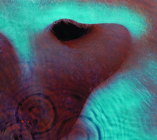 Pink Floyd | Meddle CD