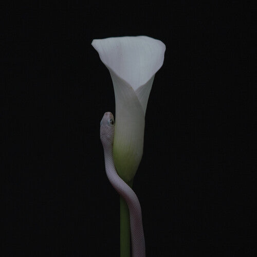 Animals As Leaders | Parrhesia CD