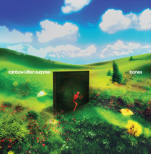 Rainbow Kitten Surprise | bones CD