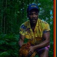 Childish Gambino | Bando Stone and The New World LP