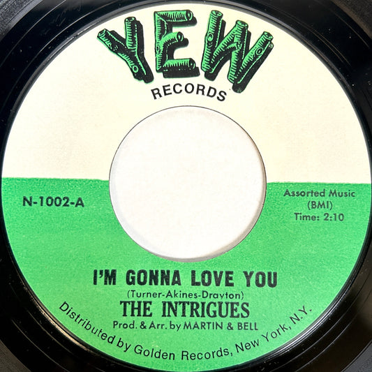 The Intrigues | I'm Gonna Love You 7" Single (1969 / 45RPM)