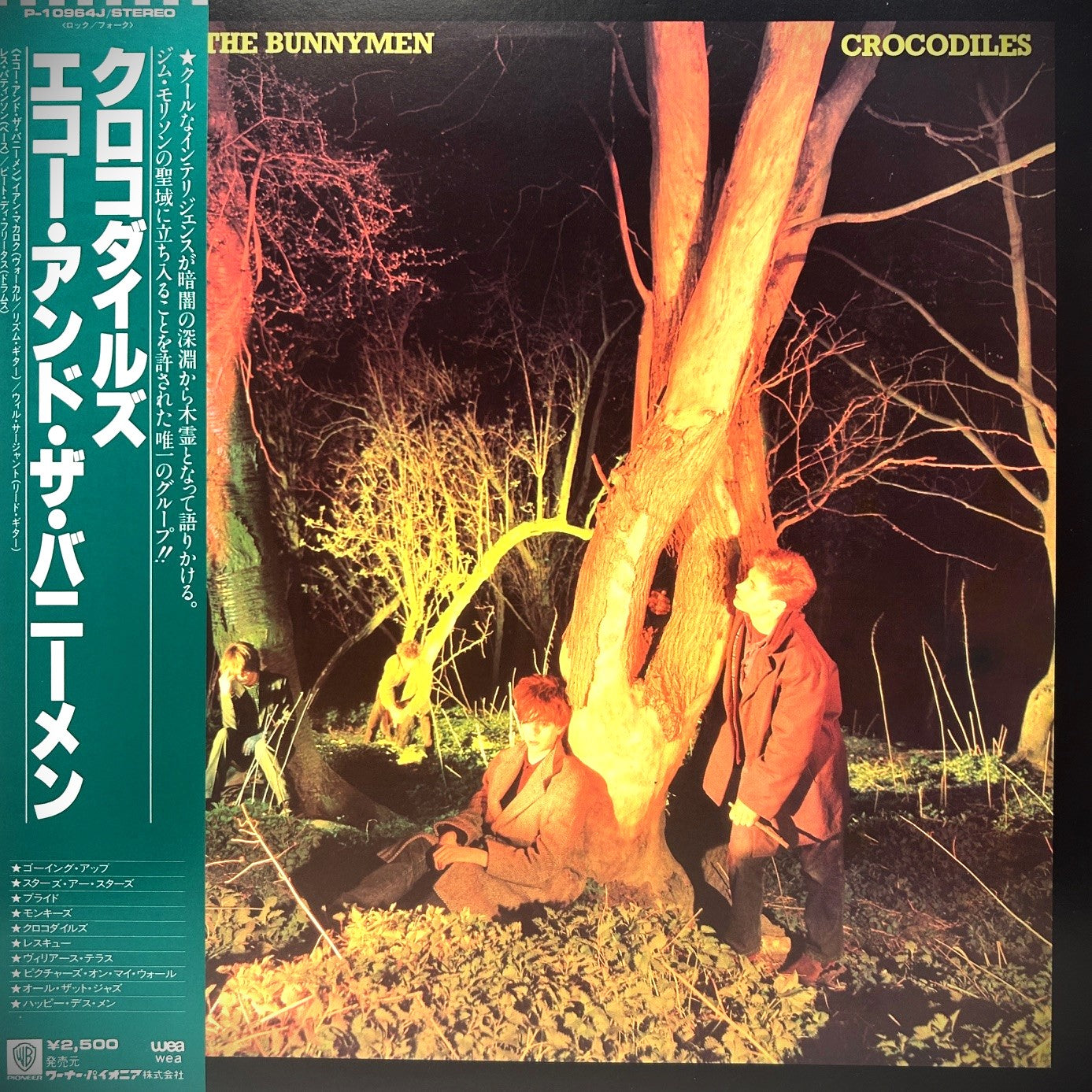 Echo And The Bunnymen | Crocodiles LP (1980 / Japan)